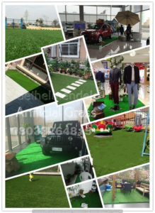 Read more about the article DID YOU KNOW THERE ARE DIFFERENT TYPES OF ARTIFICIAL GRASS FOR SPECIFIC USES?