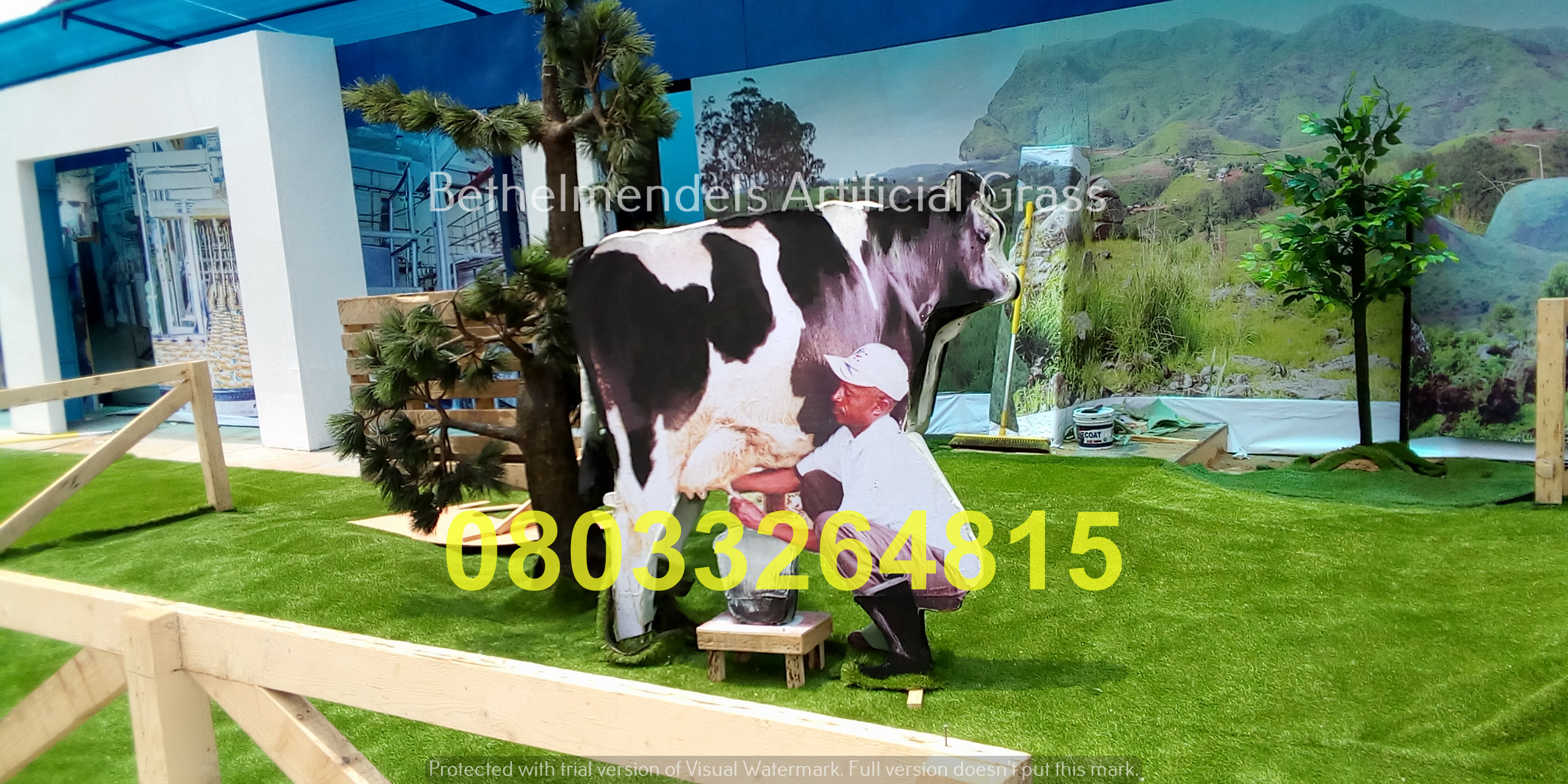 You are currently viewing Project with FrieslandCampina Nigeria ( Owner of Peak Milk) 670sqm of Natural Artificial Grass