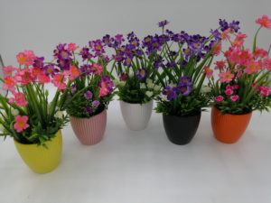 Read more about the article imported Mini flower Pot