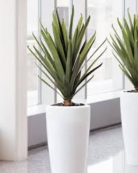 Read more about the article Artificial plant