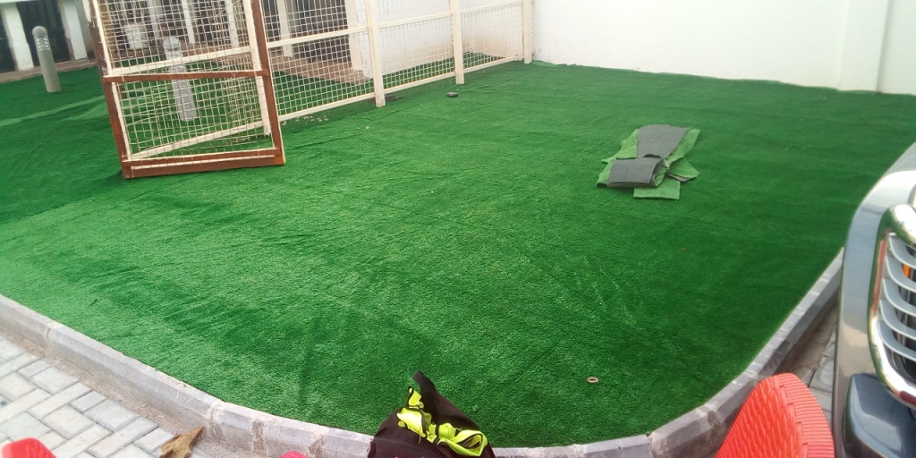You are currently viewing Exterior Decoration With Artificial Grass.