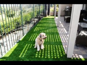 Read more about the article Alternative Carpeting: Artificial Grass Indoors