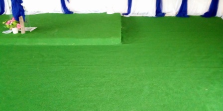 You are currently viewing Artificial Grass Installation for Church Alter at Ikorodu
