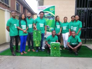 Read more about the article Bethelmendels Artificial Grass Team