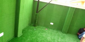 Read more about the article Artificial Grass Install On Compound Wall And Floor