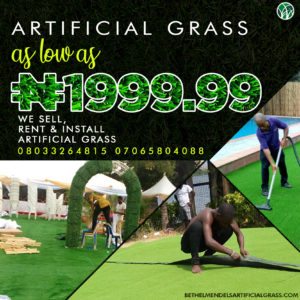 Read more about the article Artificial Green As Low As 1,999 Naira