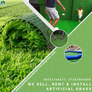 Read more about the article Synthetic/turf Import and Suppliers