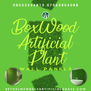 Read more about the article Boxwood Artificial Plant Wall Panels