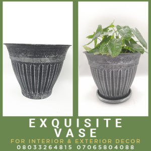Read more about the article Exquisite Vase Planter