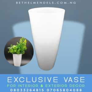 Read more about the article White Exclusive Flower Vase For Interior and Exterior Decor