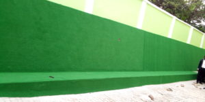 Read more about the article Artificial Grass Installation On the Wall At Adron Home and Property Limited