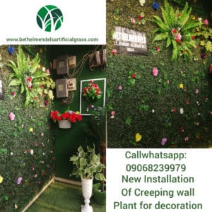 Read more about the article Wall Decoration with Artificial Creeping plants