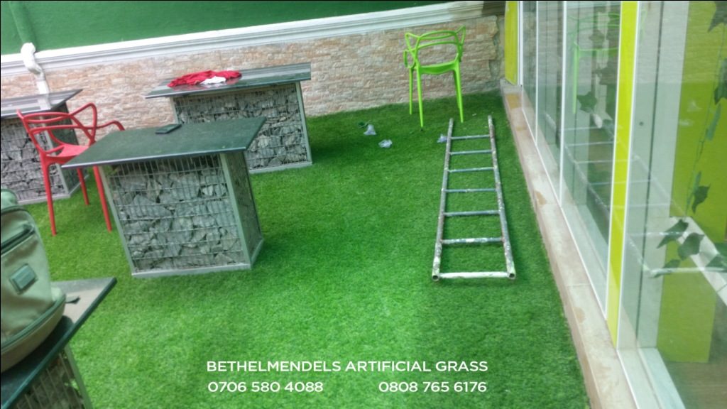 Artificial Grass 