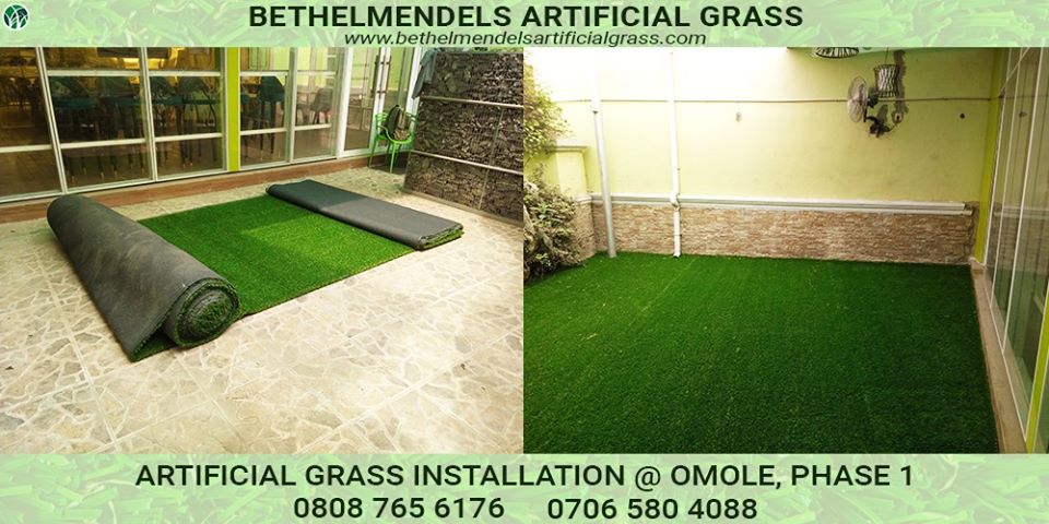 Read more about the article What to Know About Artificial Grass Rug – A Buyer’s Guide.