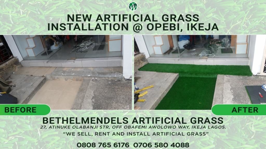 Artificial Grass