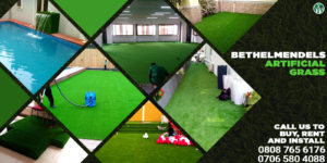 Read more about the article Why Artificial Grass is Environmental Friendly