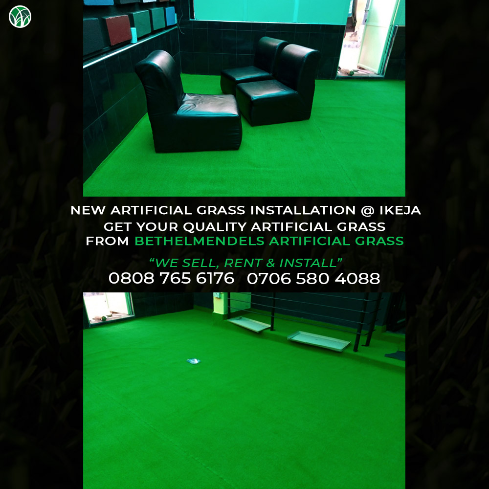 You are currently viewing Reasons To Install an Artificial Grass Turf