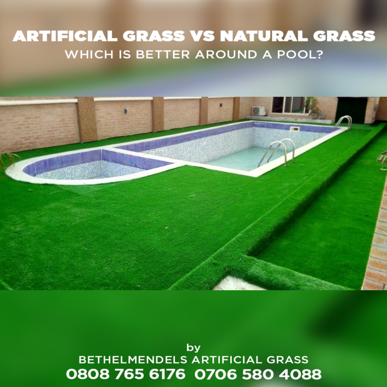 You are currently viewing What kind of grass is best around pools?