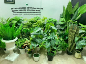 Read more about the article Why Fake Plants are Beneficial in the Workplace.