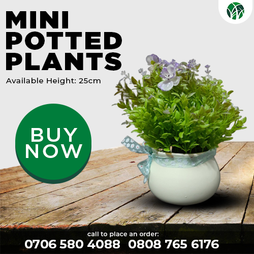 Artificial Plants