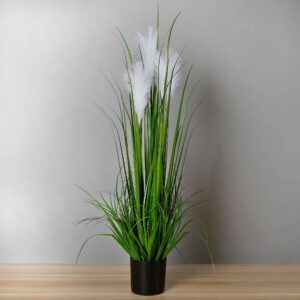 Read more about the article Reed Grass Plant