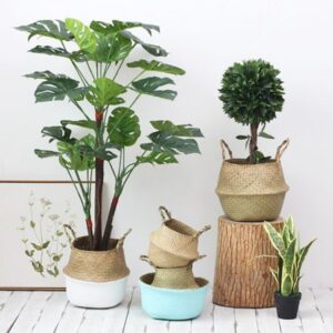 Read more about the article Seagrass Folding Handmade Storage Basket Decorative Rattan Plant Flower Pot