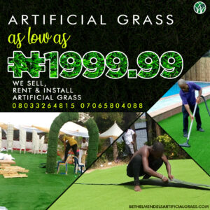 Read more about the article Artificial Grass Installation Guide