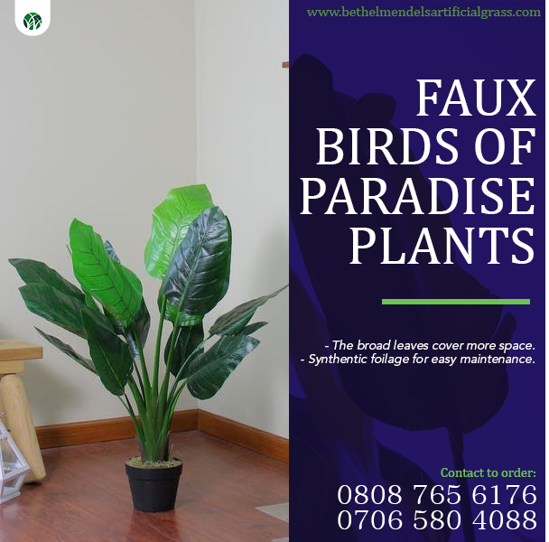 Artificial Plants
