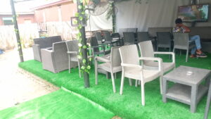 Read more about the article Artificial grass Installation at Alausa