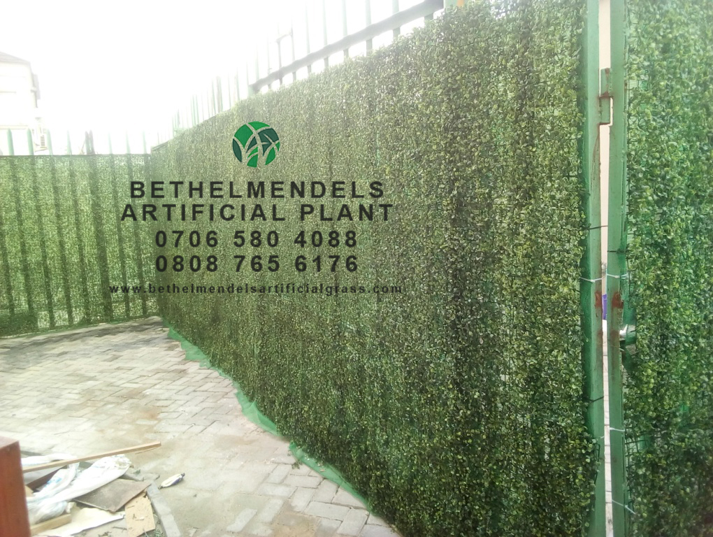 Artificial wall creeping plant In Nigeria