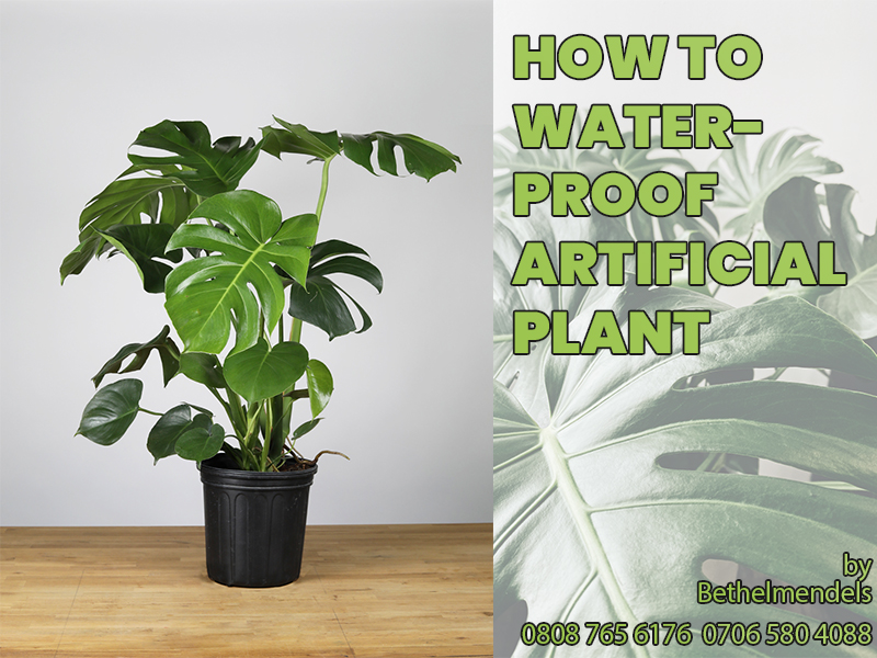 You are currently viewing How to Waterproof Indoor Artificial Plant