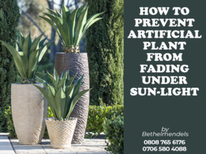 Read more about the article How To Prevent Artificial Plant From Fading Under Sunlight.