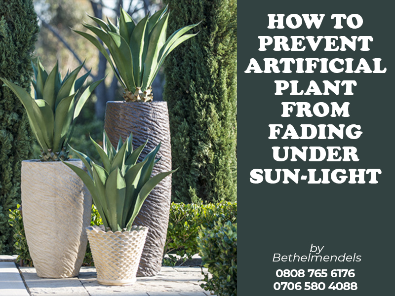 You are currently viewing How To Prevent Artificial Plant From Fading Under Sunlight.