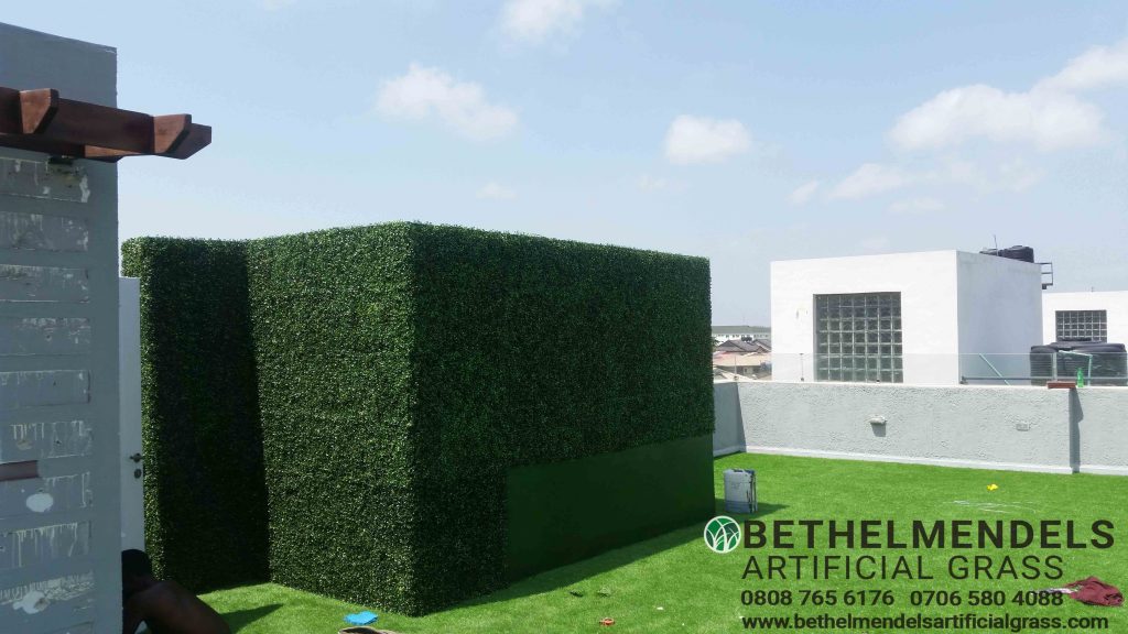 Artificial Boxwood