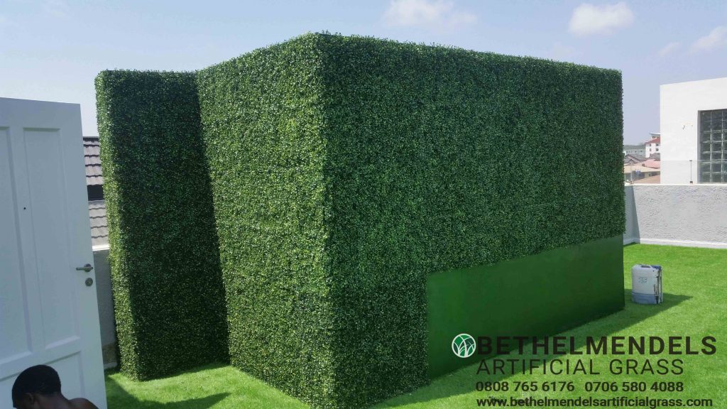 Artificial Boxwood