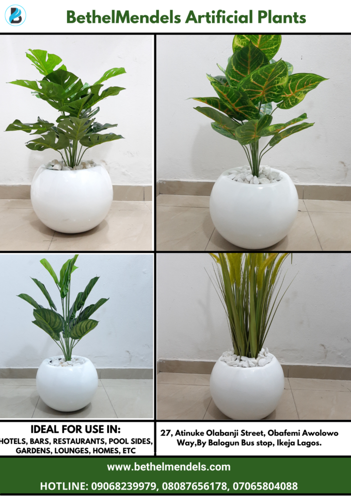 Artificial Plants 