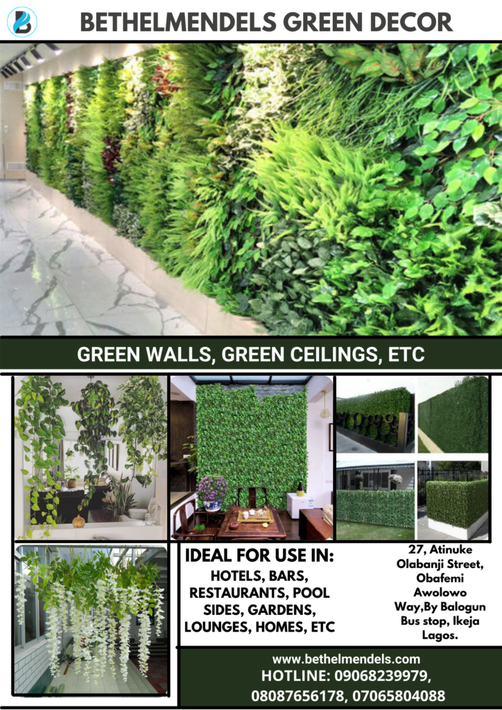 Green wall Decor 