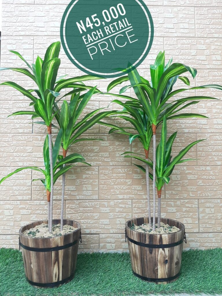 Artificial Plants 