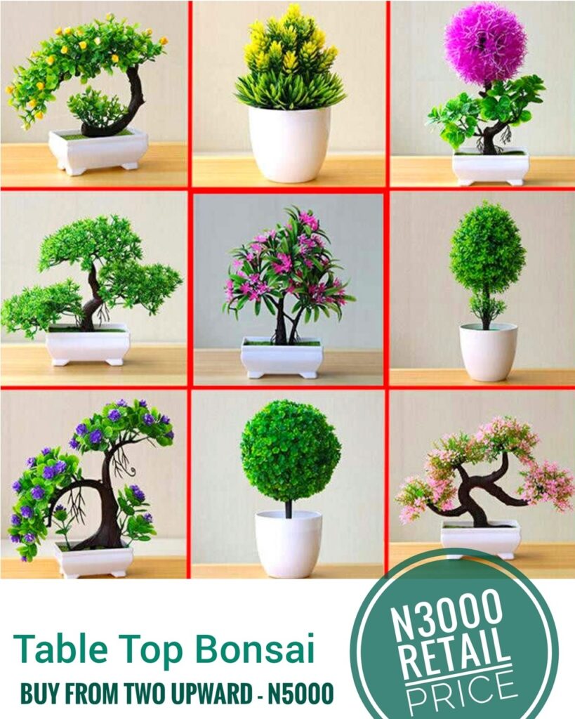 Artificial Plants