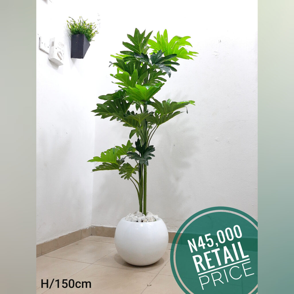 Artificial Plants
