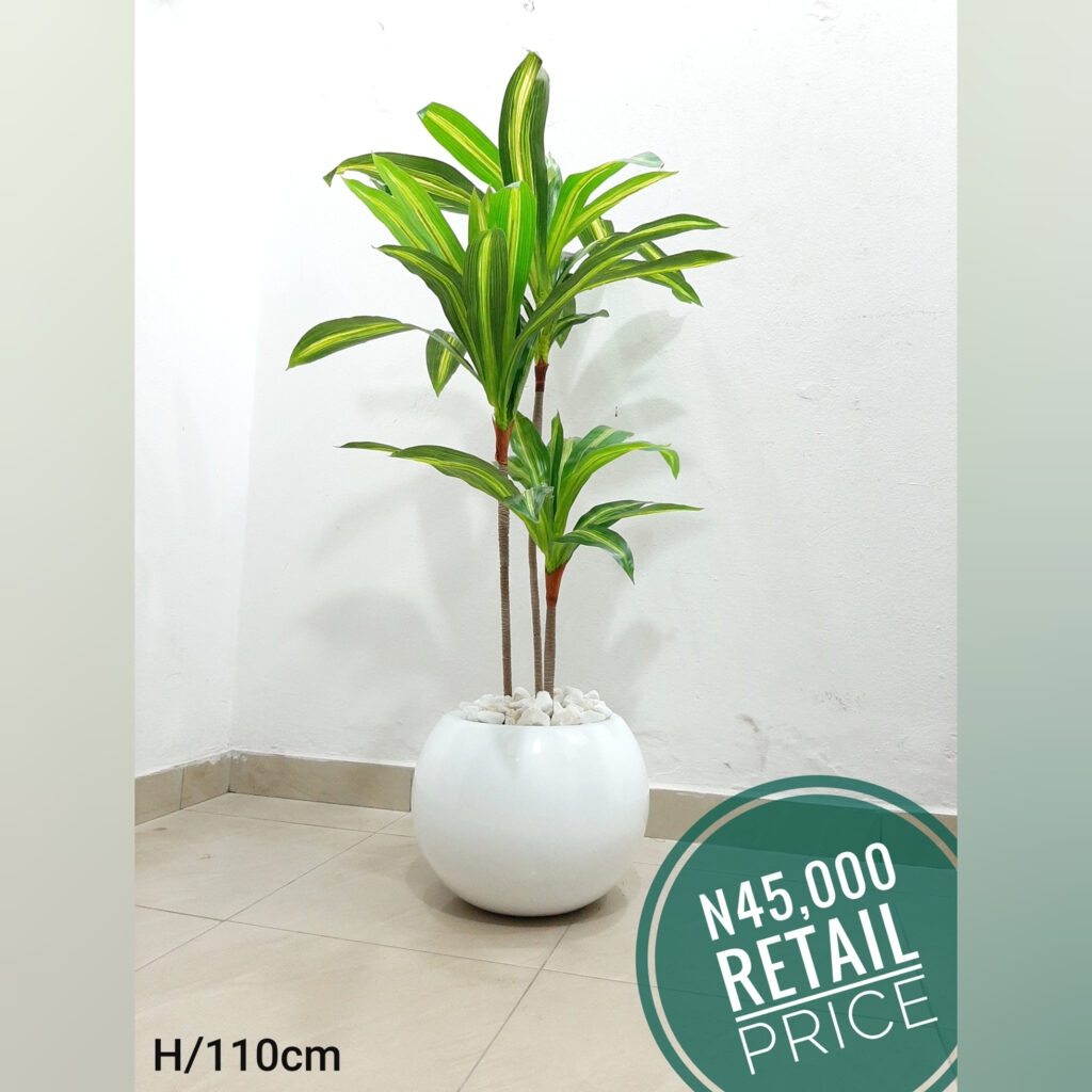 Artificial Plants
