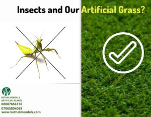 Read more about the article Insects and Our Artificial Grass