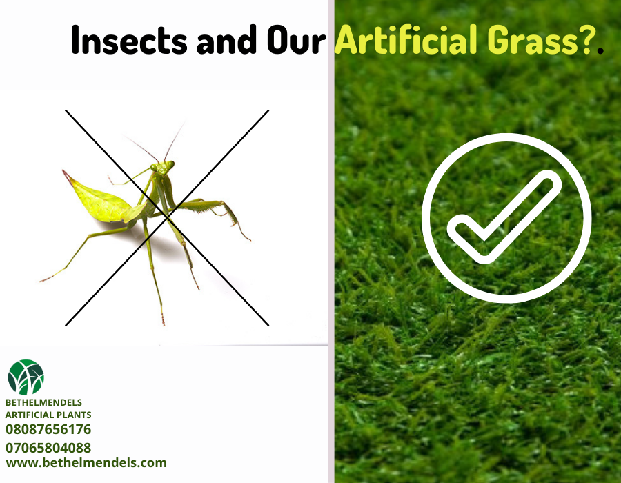 Read more about the article Insects and Our Artificial Grass