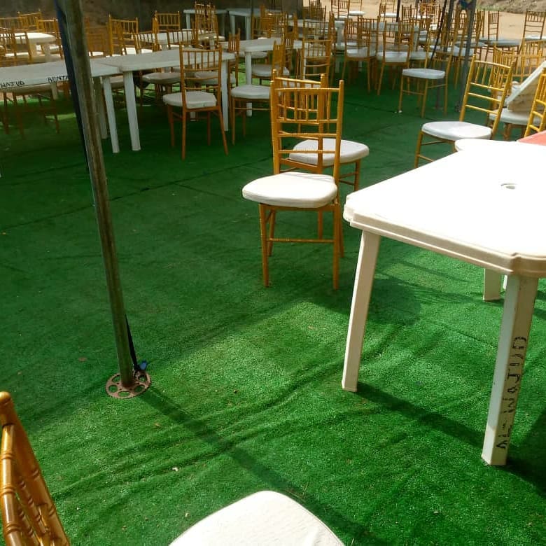 Artificial Grass