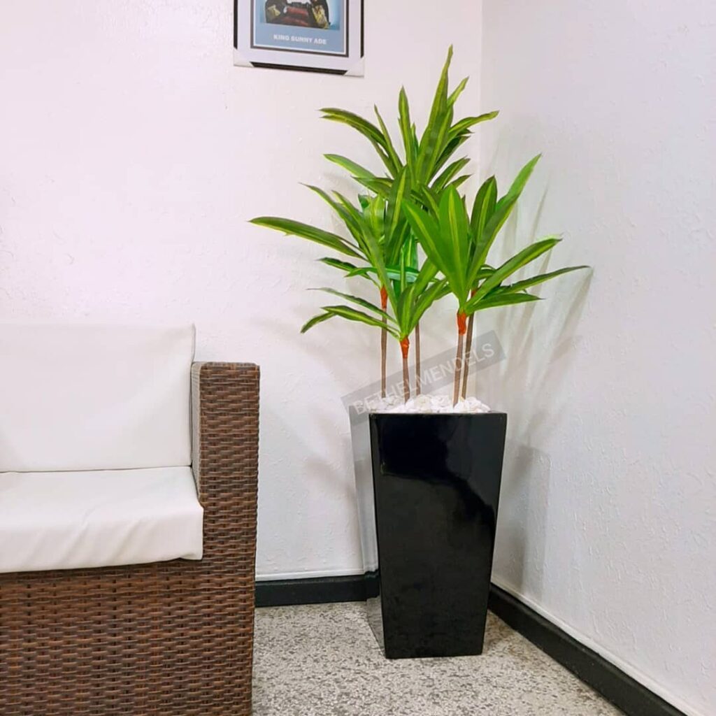 Artificial Plants