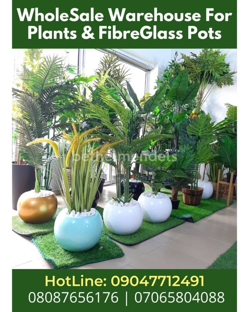 Artificial Plants