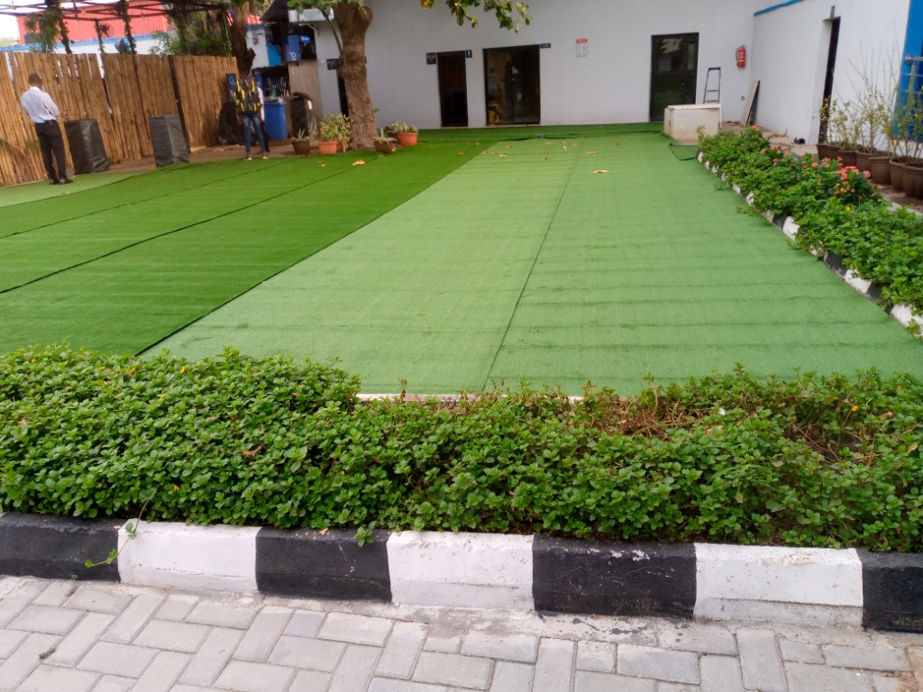 Read more about the article Homeowners Use Artificial Grass & Here Is Why