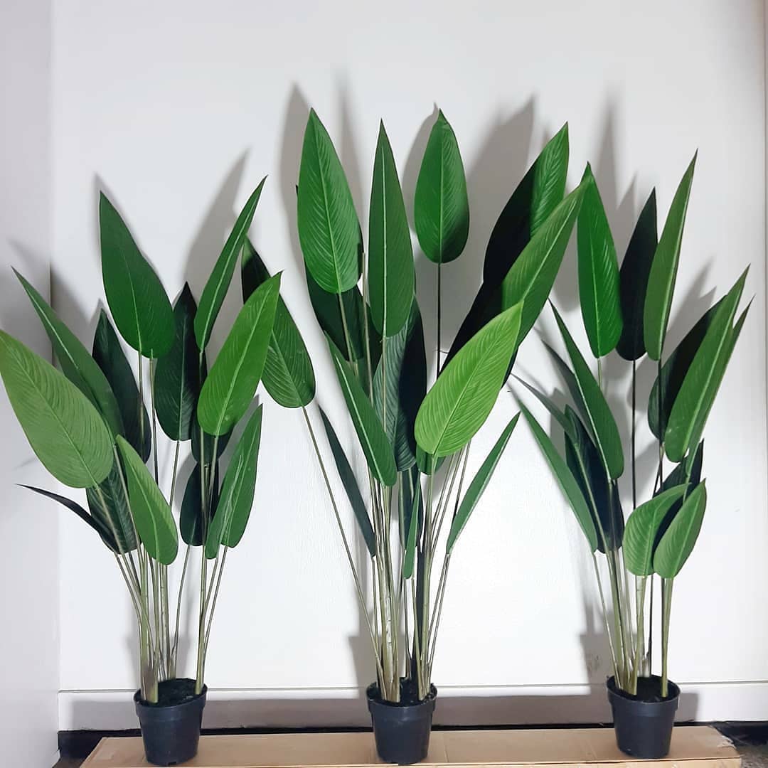 3 Ways to Clean And Maintain Artificial Plants Suppliers Of