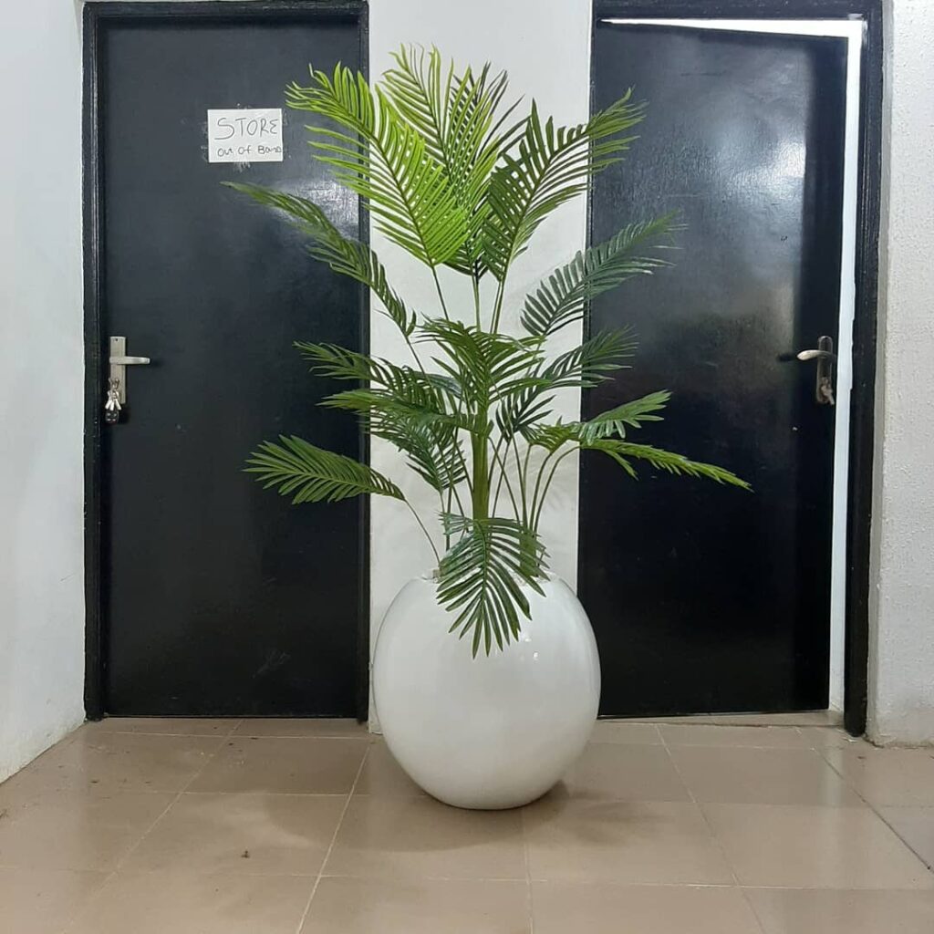 Artificial Plants