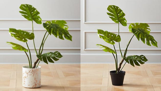 Artificial Monstera plant